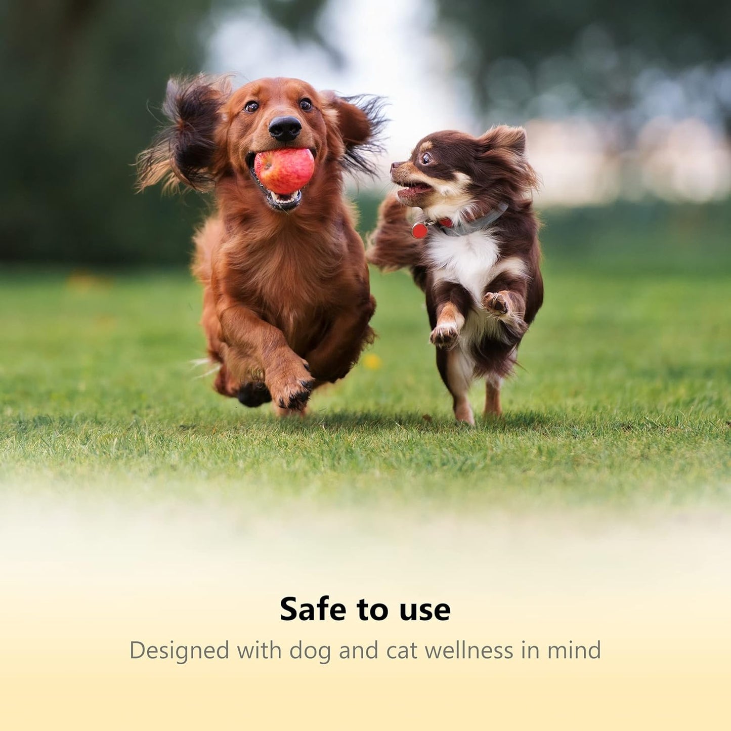 Professional Dog Nail Clippers with Safety Guard & File, Medium-Large Yellow Dog Toenail Trimmer