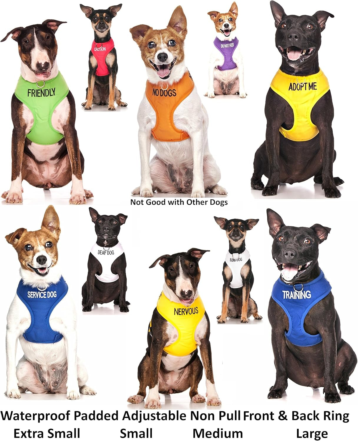 Dog Harness – Non-Pull Front & Back D-Ring, Padded Waterproof Vest, Medium (19–28" Chest/Girth)
