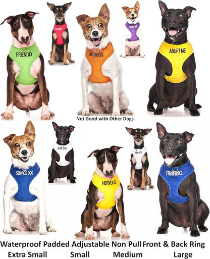 Dog Harness – Non-Pull Front & Back D-Ring, Padded Waterproof Vest, Medium (19–28" Chest/Girth)