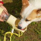 2-in-1 Portable Dog Water Bottle & Food Container – Leak-Proof Pet Feeder for Travel