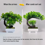 Small 8.5" Artificial Bonsai Plant, Green Faux Desktop Decor for Home, Office, Bookshelf & Bathroom