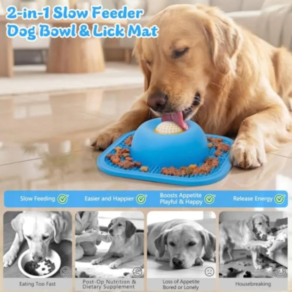 Dog licking from slow feeder bowl