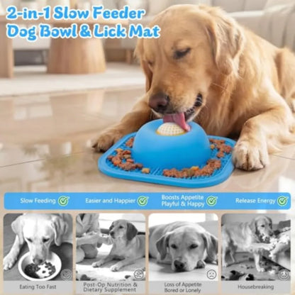 Dog licking from slow feeder bowl