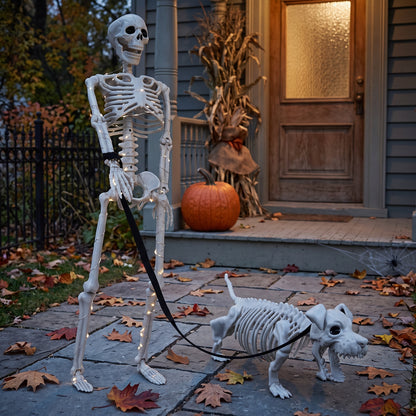 Lighted Halloween Skeleton Decorations Outdoor & Indoor