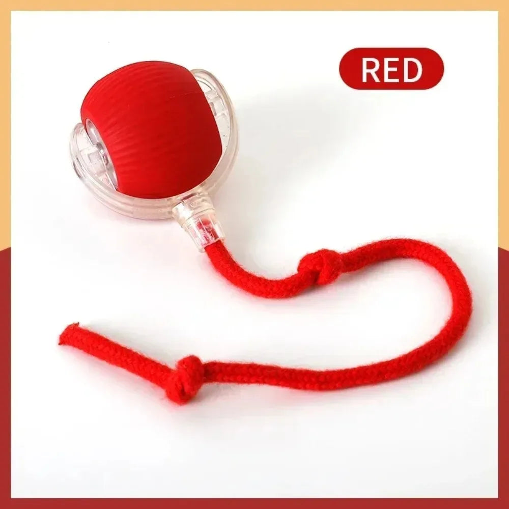 Smart rolling ball cat toy everyday play
