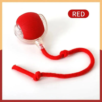 Smart rolling ball cat toy everyday play
