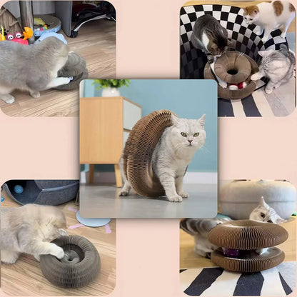Interactive cat scratcher toy