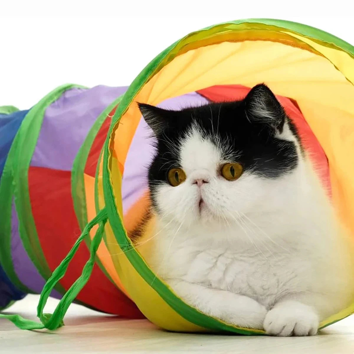 Collapsible cat tunnel for indoor pets