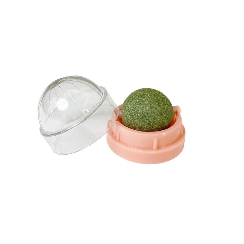 Catnip wall ball cat toy style options