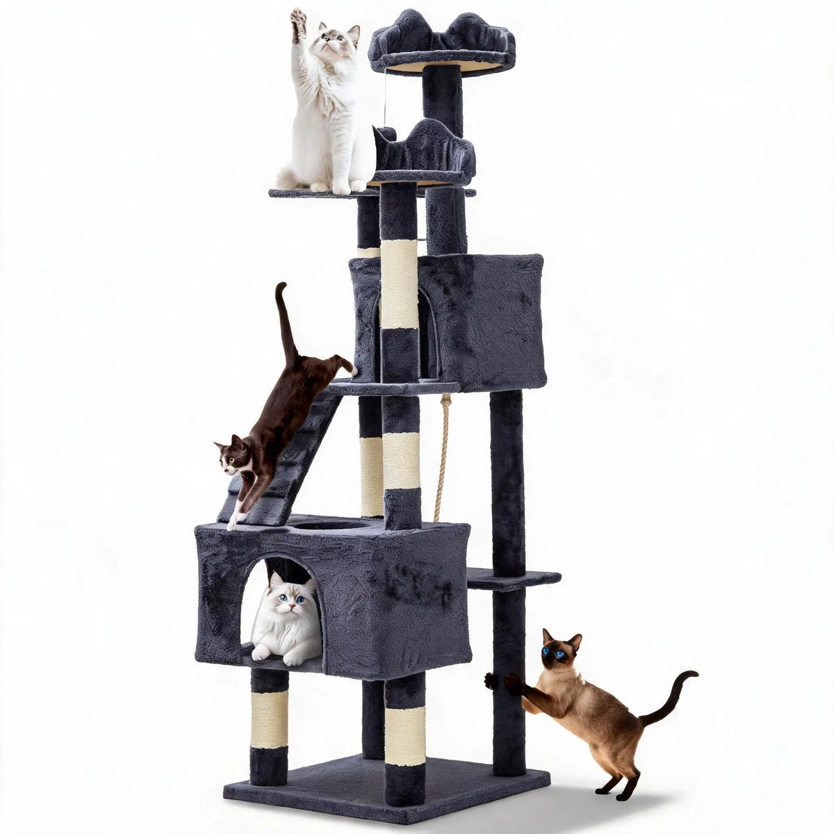 72 inch large cat tree tower assembly and size details