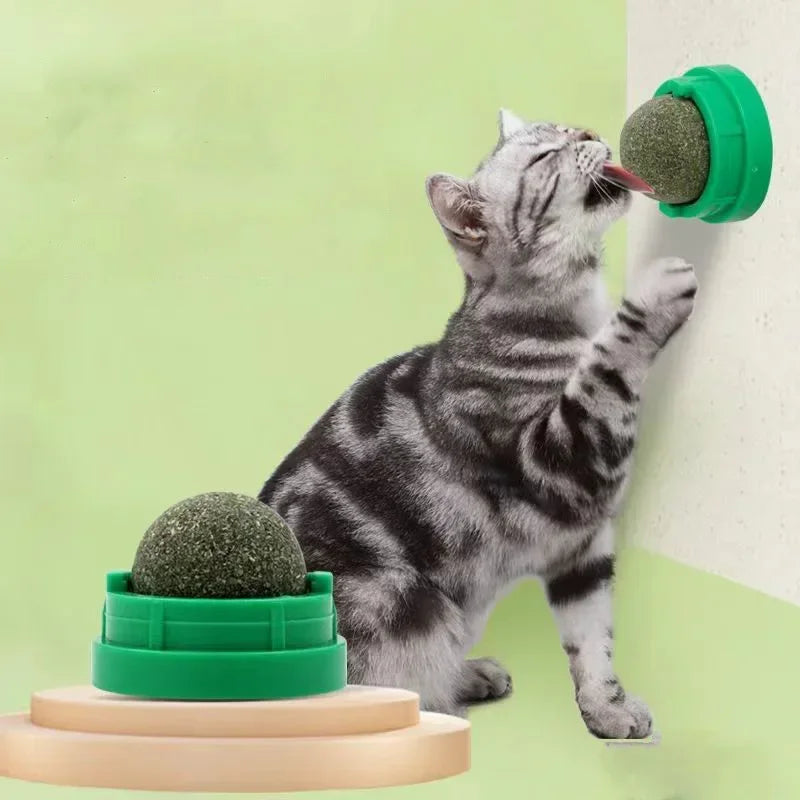 Catnip wall ball cat toy for indoor pets