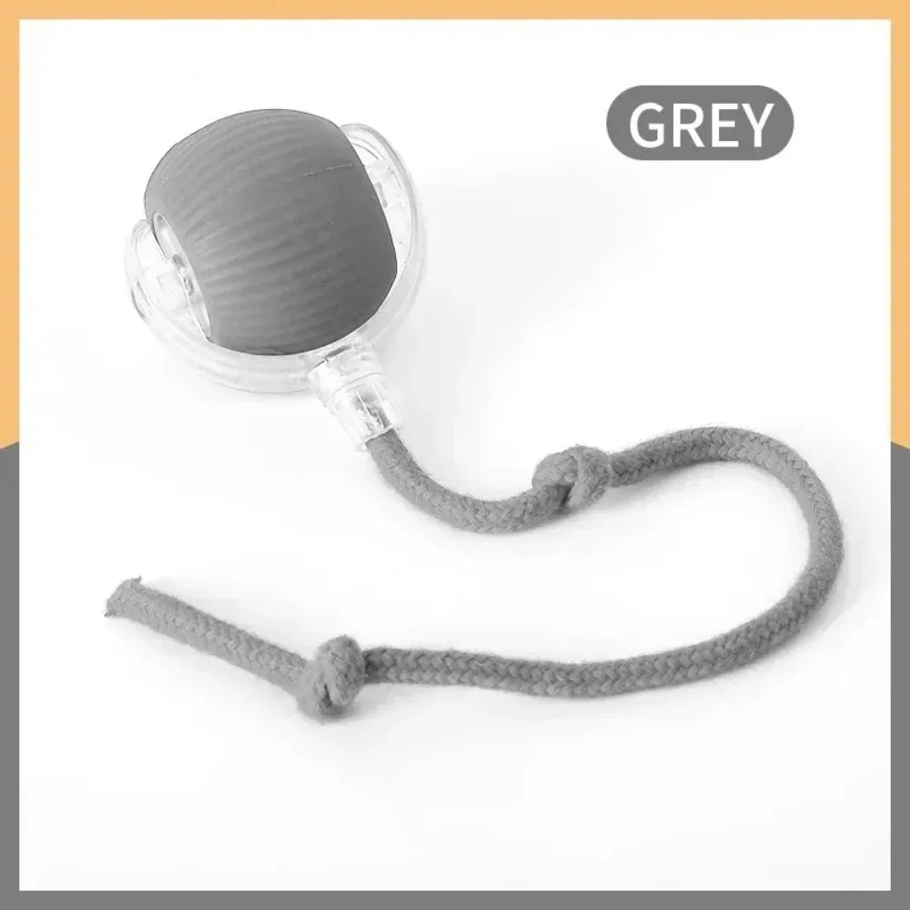 Smart rolling ball cat toy style options