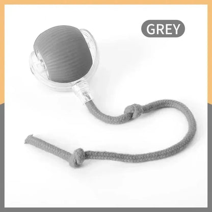 Smart rolling ball cat toy style options