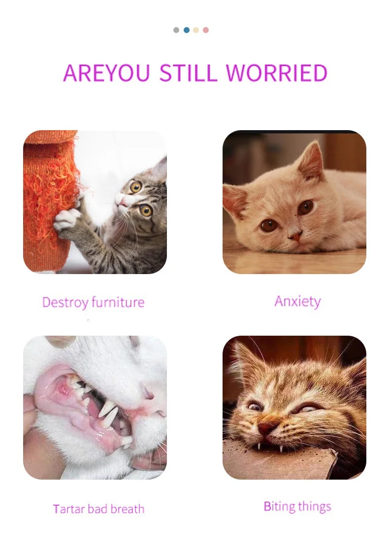 Corner massage brush catching cat hair