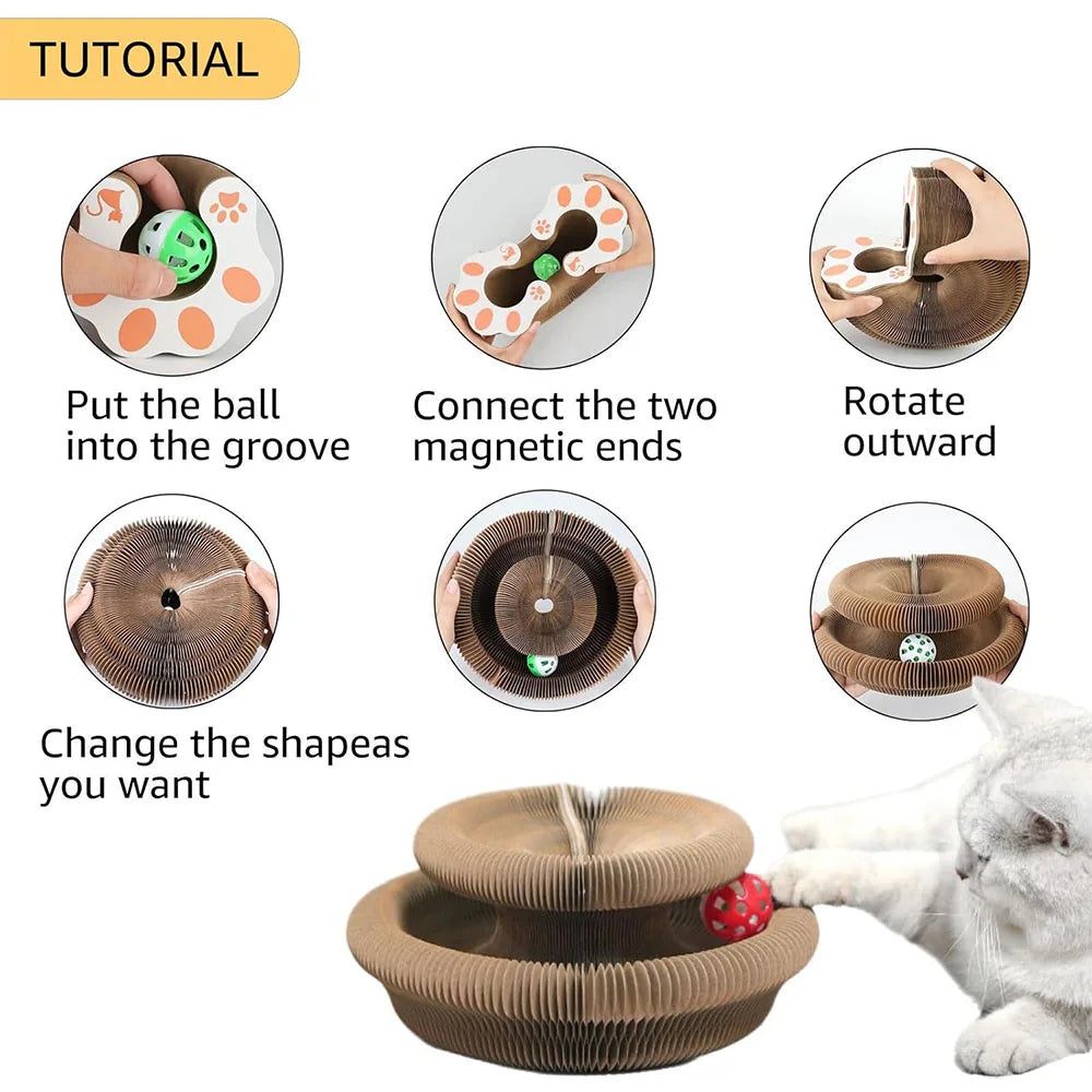 Cat playing with accordion scratcher and bell ball