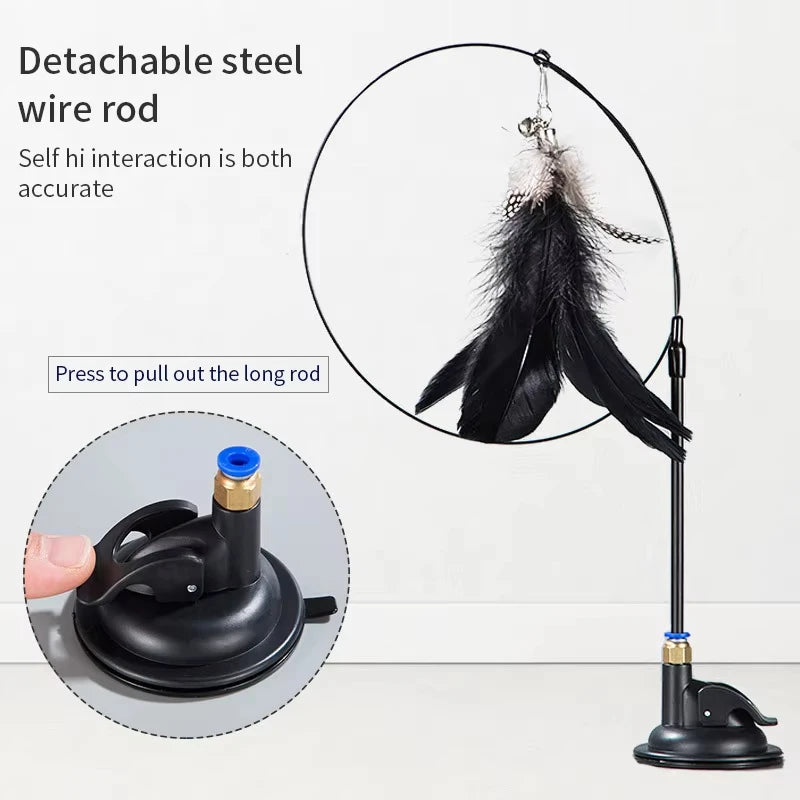 Suction cup cat feather wand in use during play