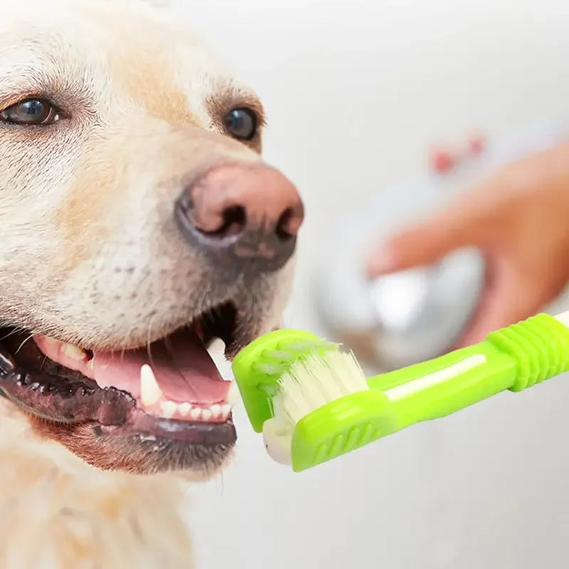 Three-sided pet toothbrush for dogs and cats - image 5
