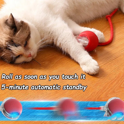 Smart rolling ball cat toy size and dimensions
