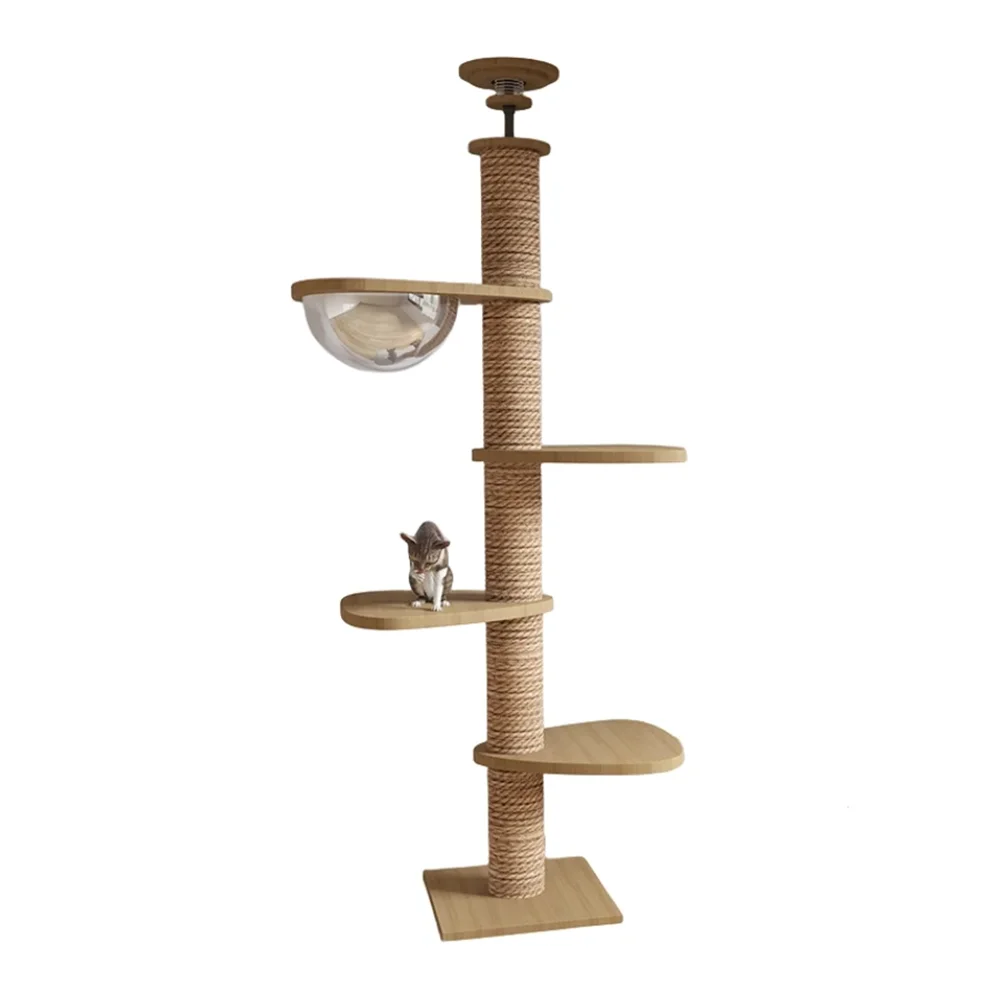 Floor to ceiling cat tree, cat climbing