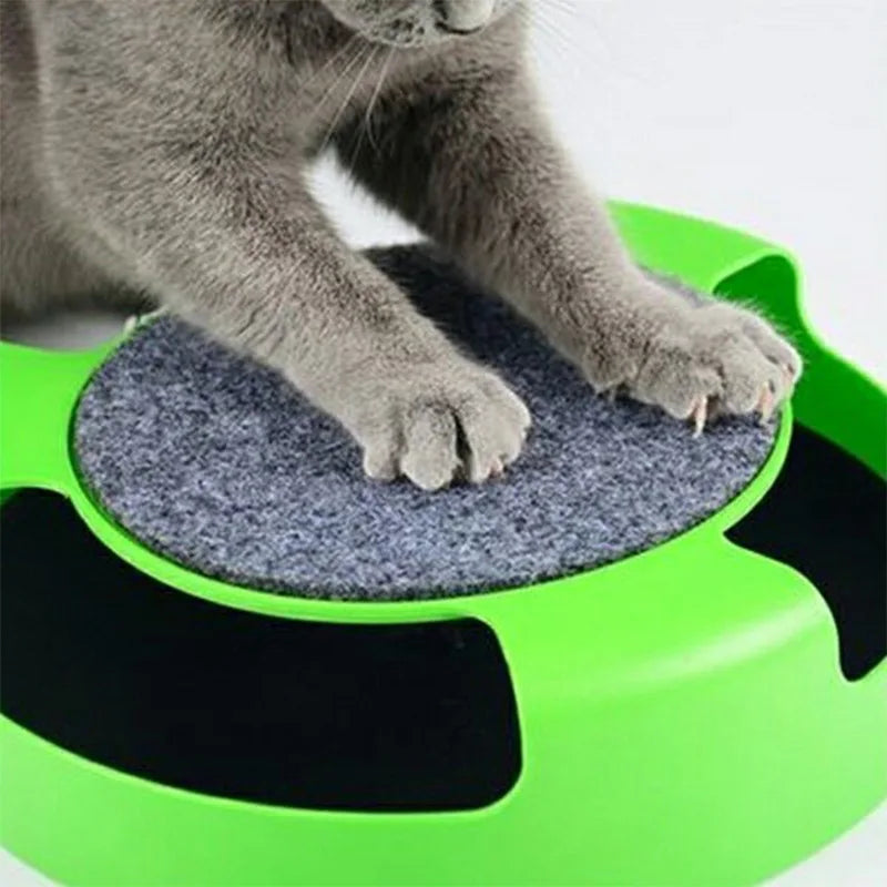 Cat turntable track toy close-up detail