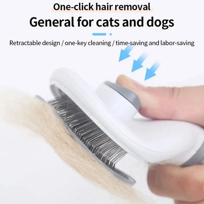 Brushing cat with slicker brush