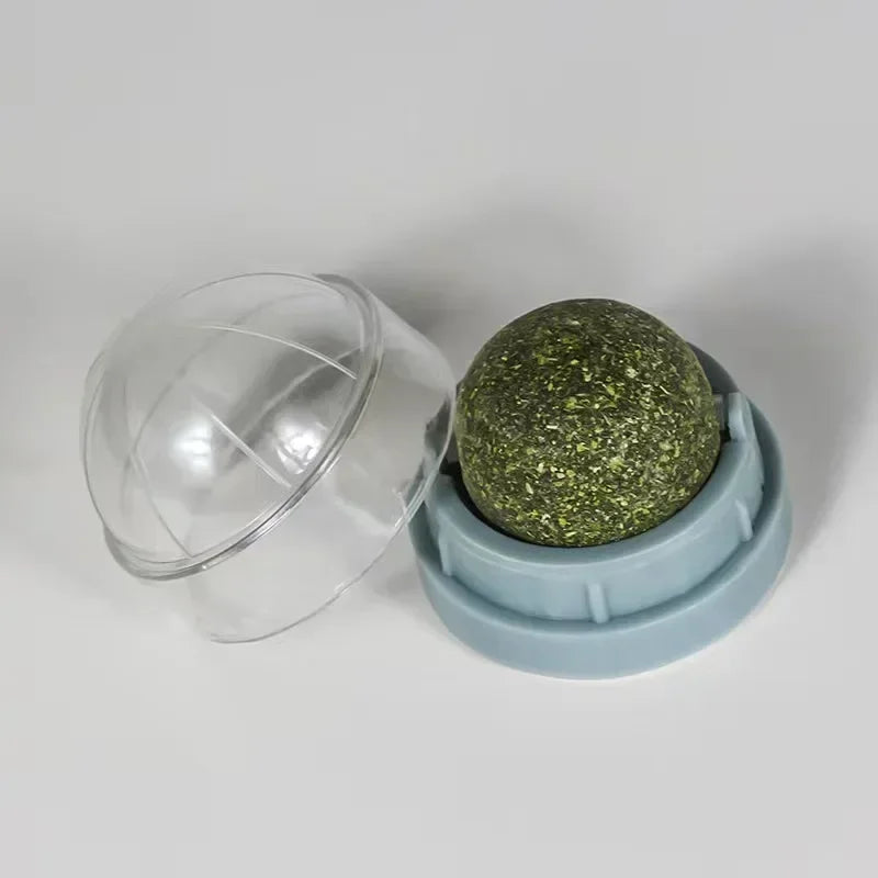 Catnip wall ball cat toy interactive play