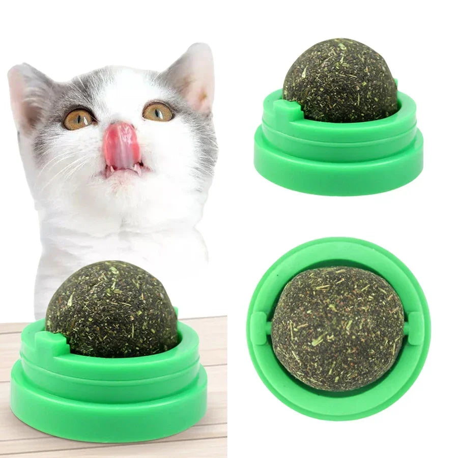 Catnip wall ball cat toy color options