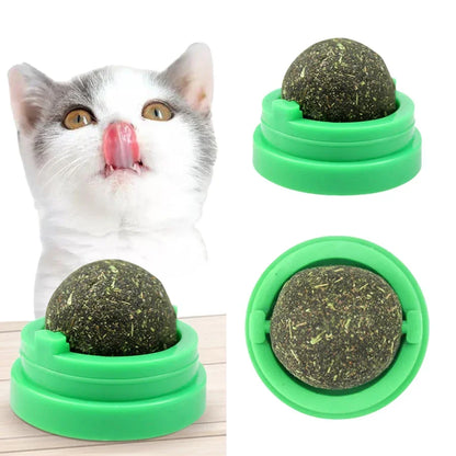 Catnip wall ball cat toy color options