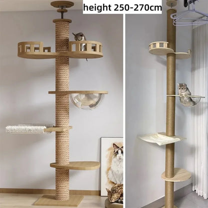 Floor to ceiling cat tree, cat napping in hammock