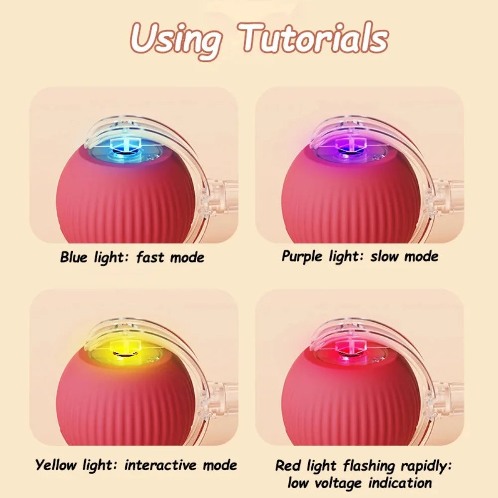Smart rolling ball cat toy color options