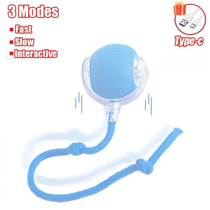 Smart rolling ball cat toy gift for pet lovers