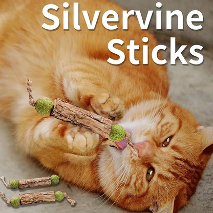 Natural catnip chew stick pack options