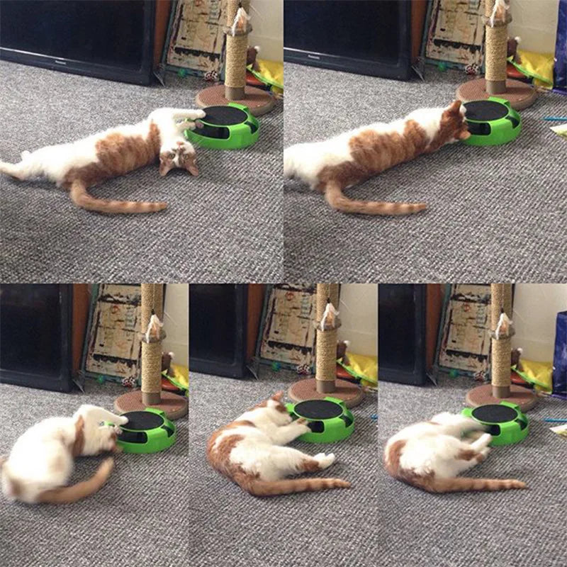 Cat turntable track toy size and dimensions