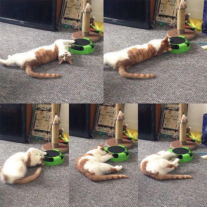 Cat turntable track toy size and dimensions