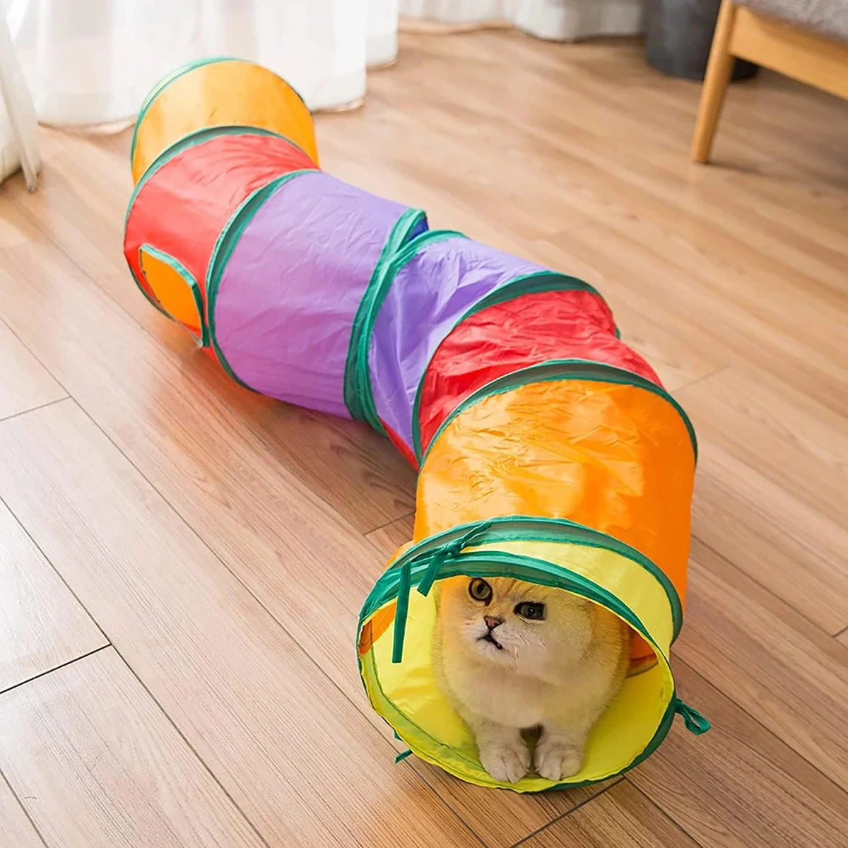 Collapsible cat tunnel in use during play