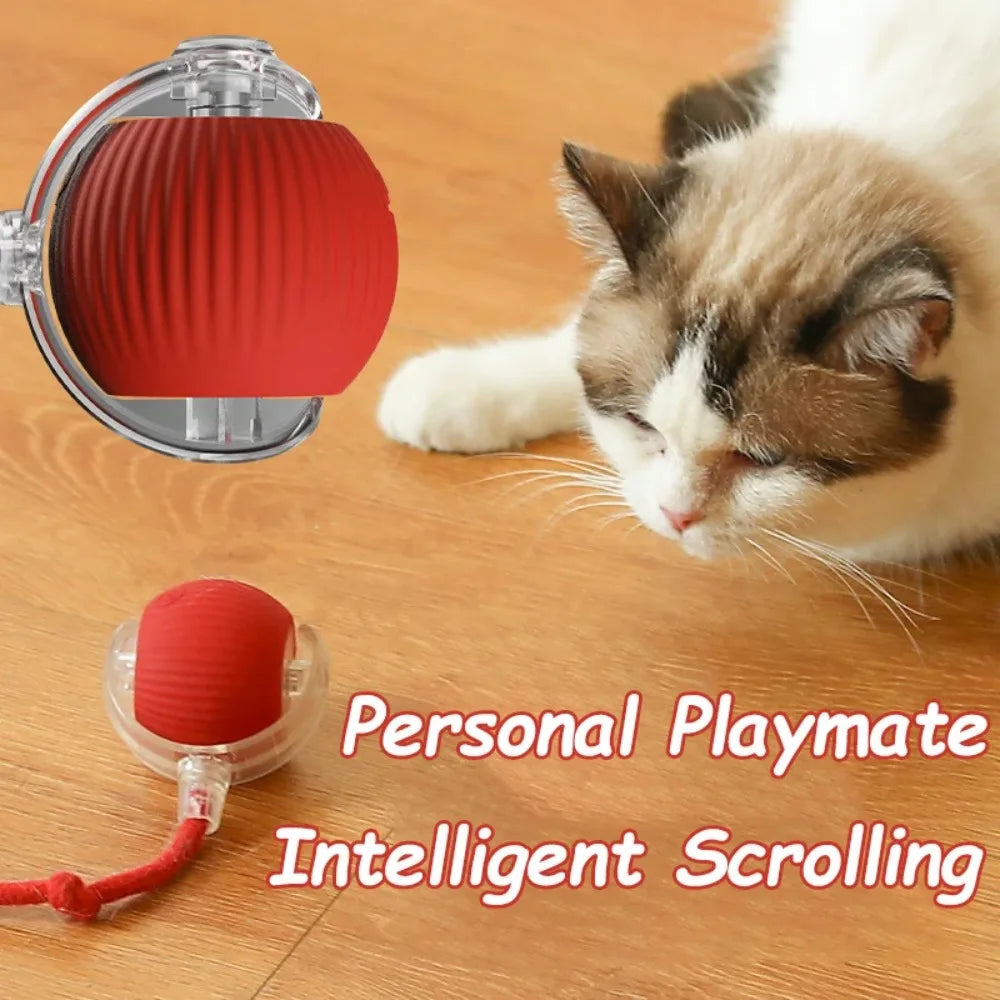 Smart rolling ball cat toy for indoor pets