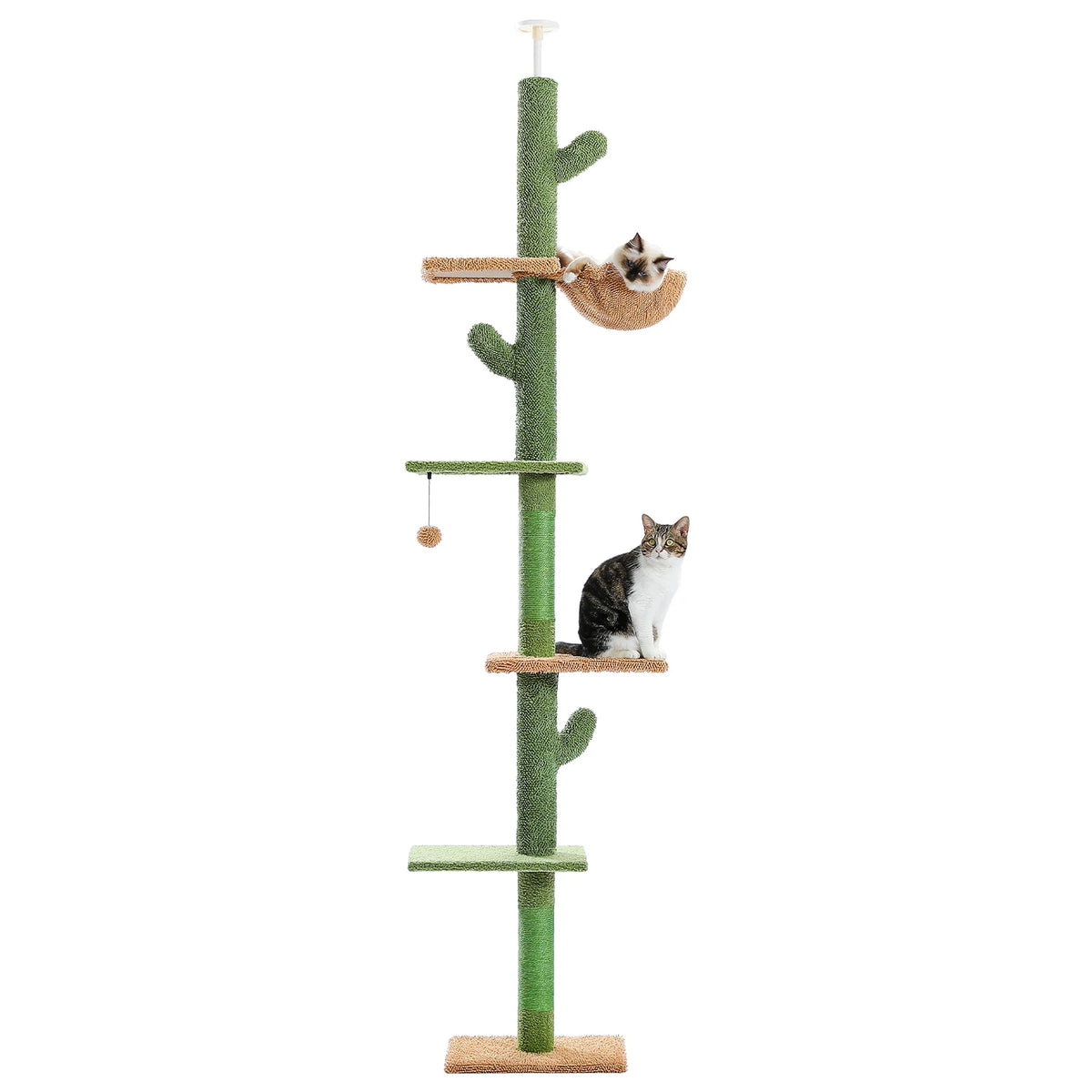 cat playing on floor to ceiling cactus cat tree