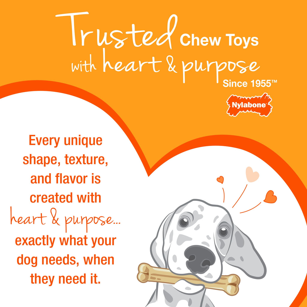 2-Pack XX-Small Chew Bone Dog Toy – Peanut Butter & Bacon, Orange & Blue