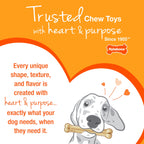 2-Pack XX-Small Chew Bone Dog Toy – Peanut Butter & Bacon, Orange & Blue