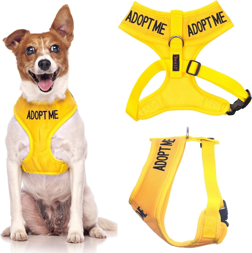 Dog Harness – Non-Pull Front & Back D-Ring, Padded Waterproof Vest, Medium (19–28" Chest/Girth)