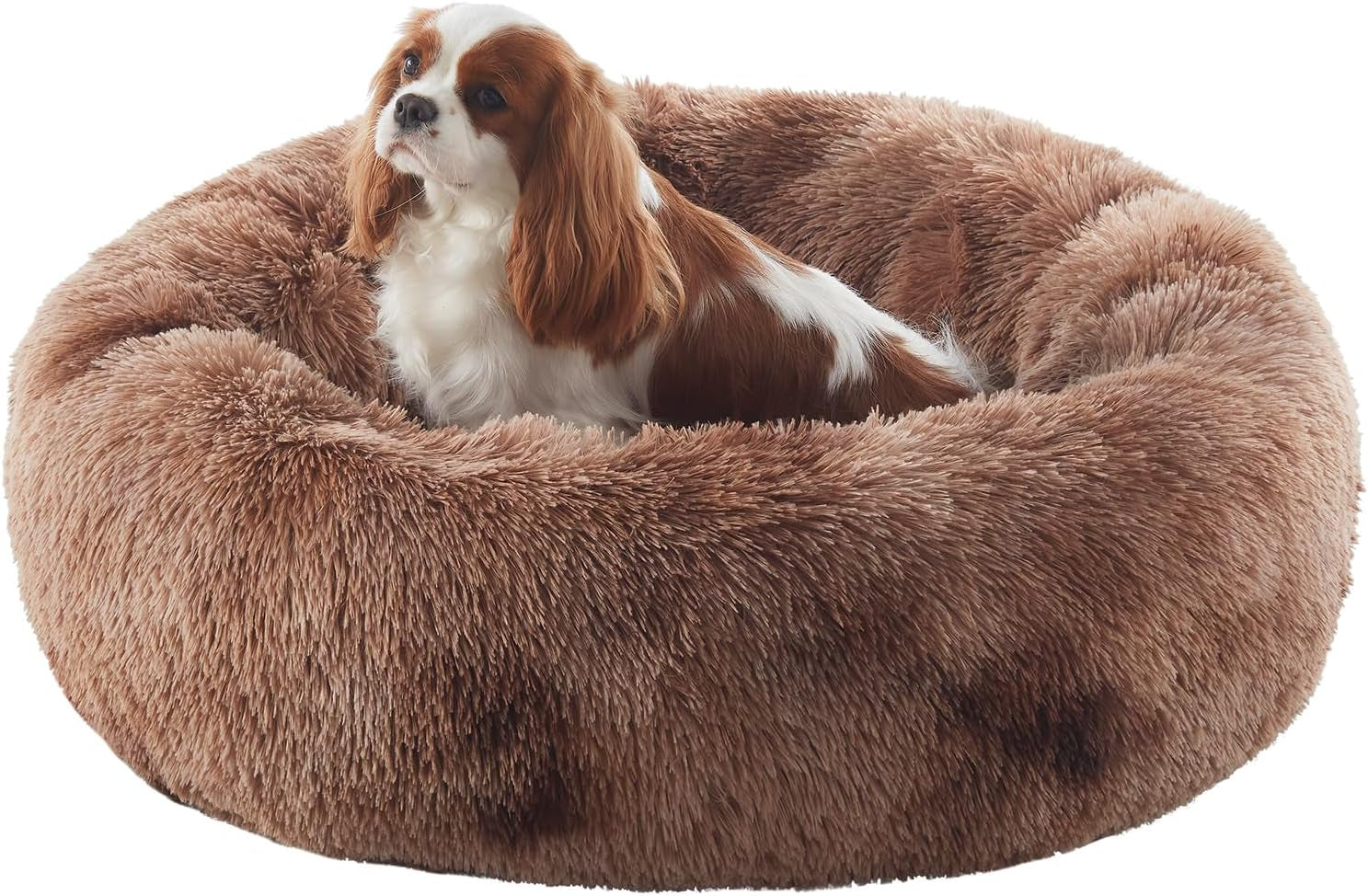 Donut Dog Bed for All Dogs Calming Plush Washable Round Bed 