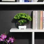 Small 8.5" Artificial Bonsai Plant, Green Faux Desktop Decor for Home, Office, Bookshelf & Bathroom