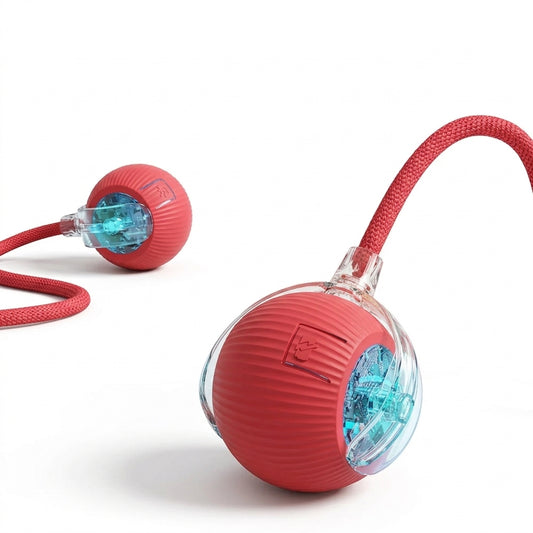 Smart rolling ball cat toy