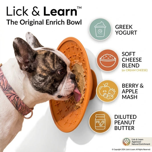 Dog Slow Feeder Lick Mat with Suction Cup for Bath Time and Grooming