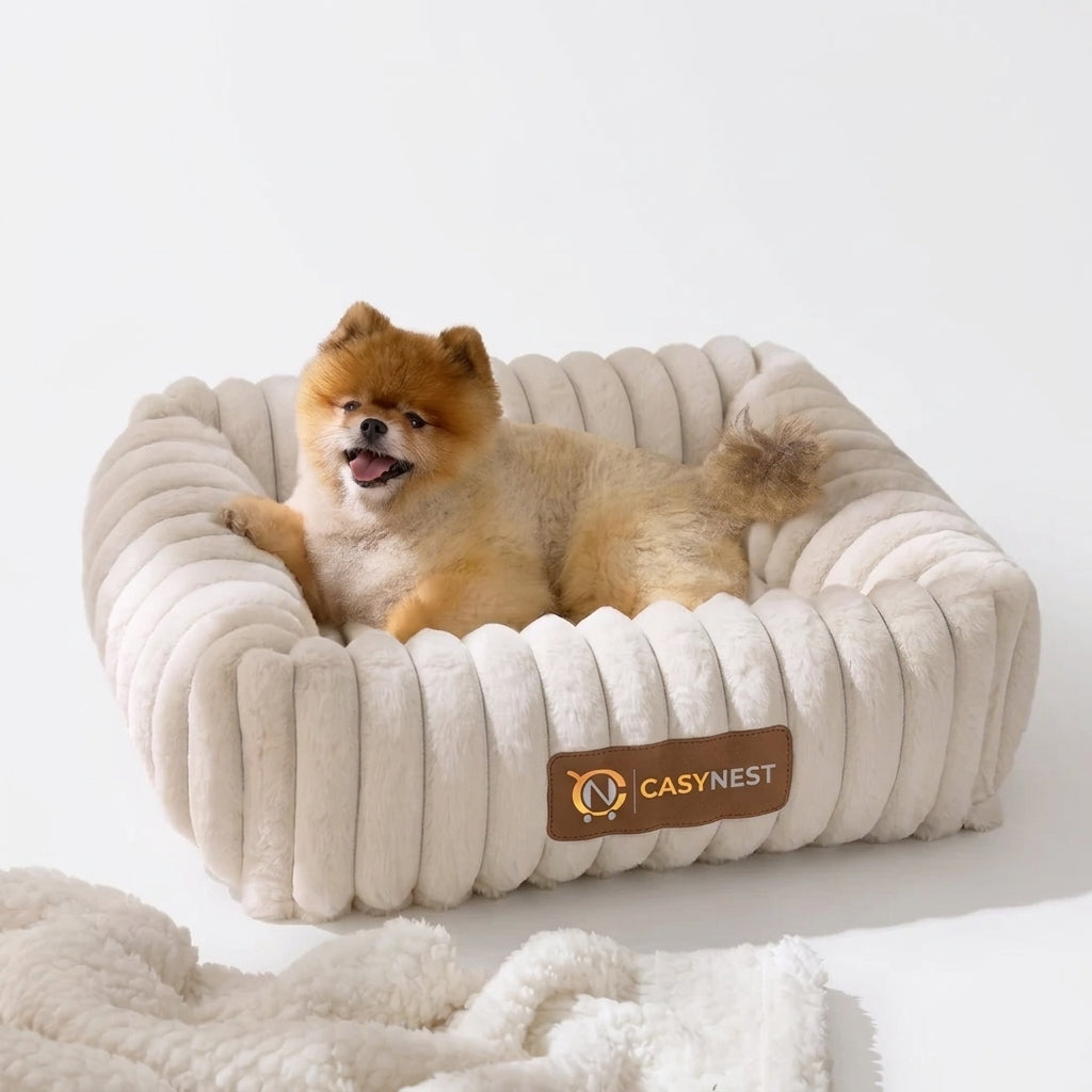 Orthopedic Dog Bed with Washable Cover for Small Dogs