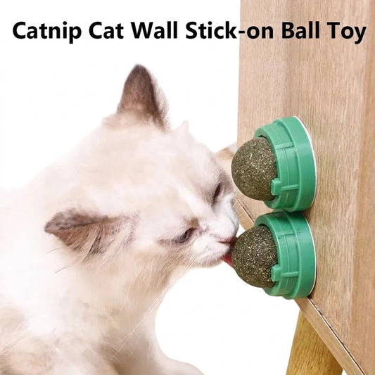 Catnip wall ball cat toy