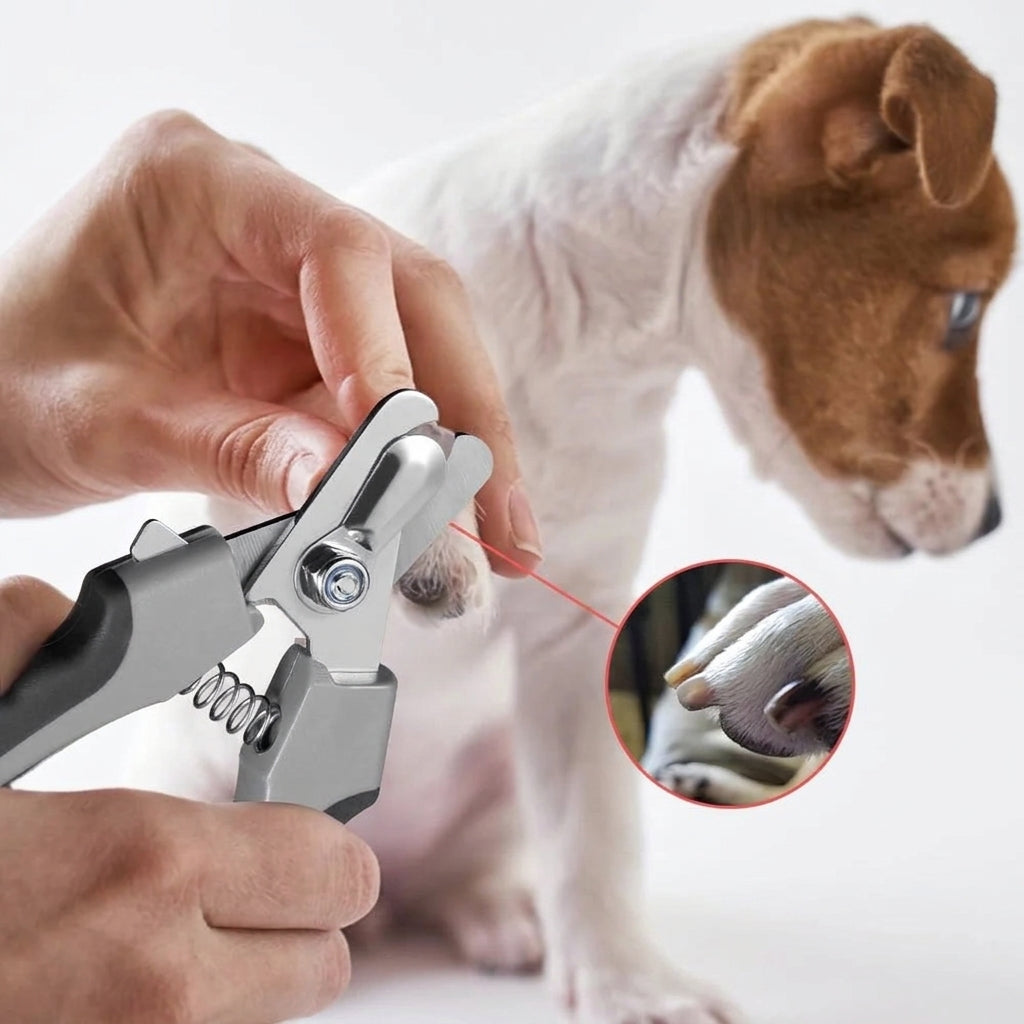 Dog & Cat Nail Clippers for Large Breeds, Safari Professional Trimmers with Quick Sensor, Safety Guard & Nail File