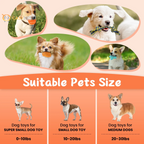 Dog Toys for Small Dogs ,10 Pack Puppy Chew Toys for Teething and Training with Plush Squeaky Toys, Treat Ball and Rope Toys to Keep Them Busy，White Dog