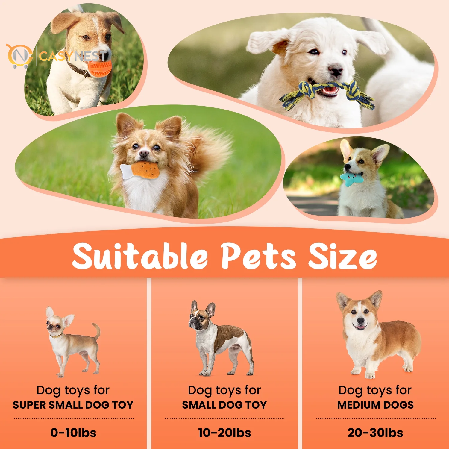 Dog Toys for Small Dogs ,10 Pack Puppy Chew Toys for Teething and Training with Plush Squeaky Toys, Treat Ball and Rope Toys to Keep Them Busy，White Dog