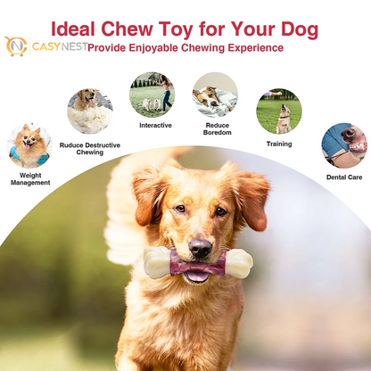 Tough Chew Dog Toys for Large & Medium Dogs – Aggressive Chewer Bones with Toothbrush Design